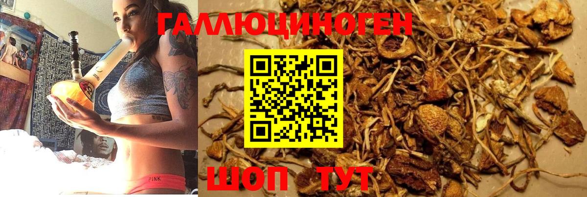 Улан-Удэ  Псилоцибиновые грибы MAGIC MUSHROOMS  Вход с VPN 