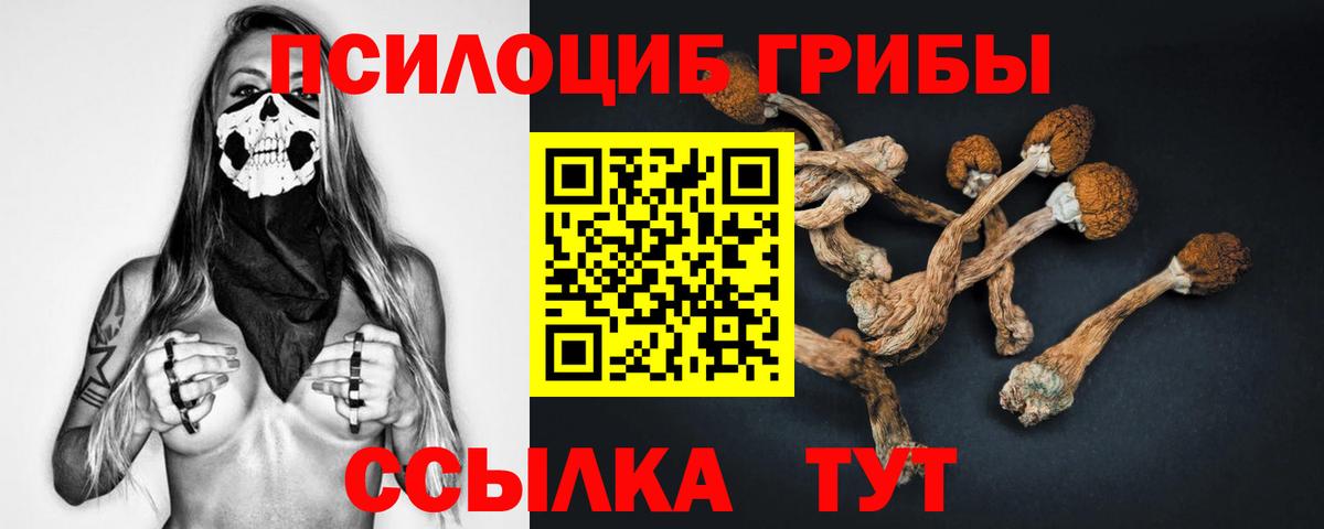 Галлюциногенные грибы прущие грибы Улан-Удэ